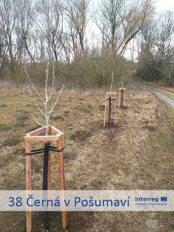 38 Černá v Pošumaví