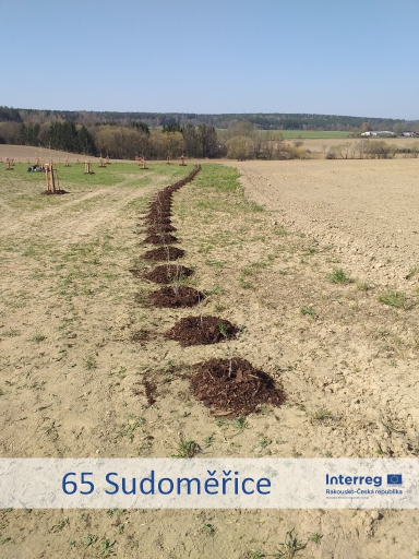 Lokalita - 65 Sudoměřice